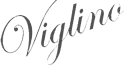 logo_viglino